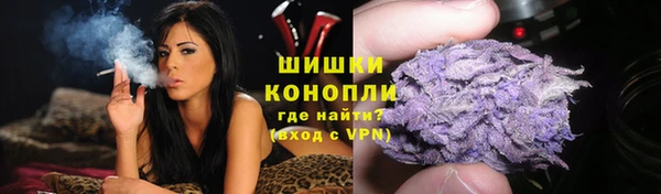 кокс Богородицк