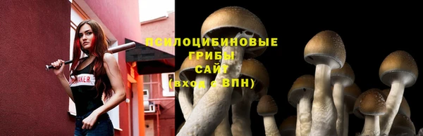 кокс Богородицк