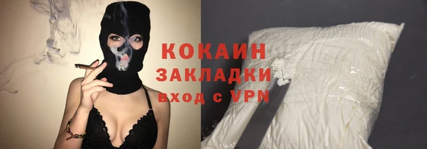 кокс Богородицк