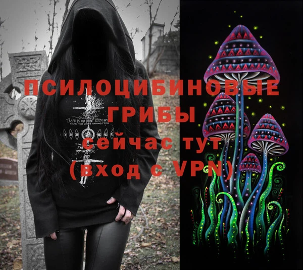 кокс Богородицк